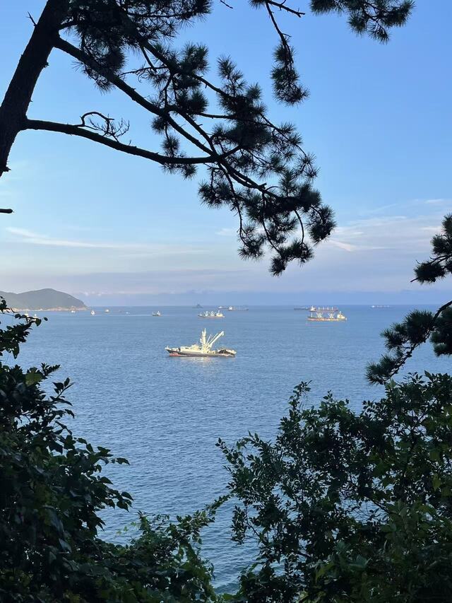 公园人很少 适合散步