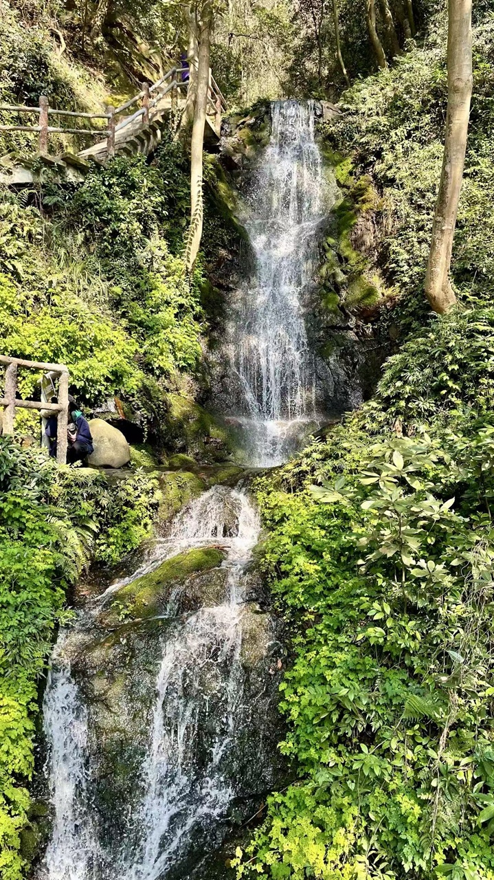 请输入图片描述 请输入图片描述