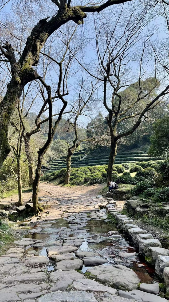 请输入图片描述 请输入图片描述