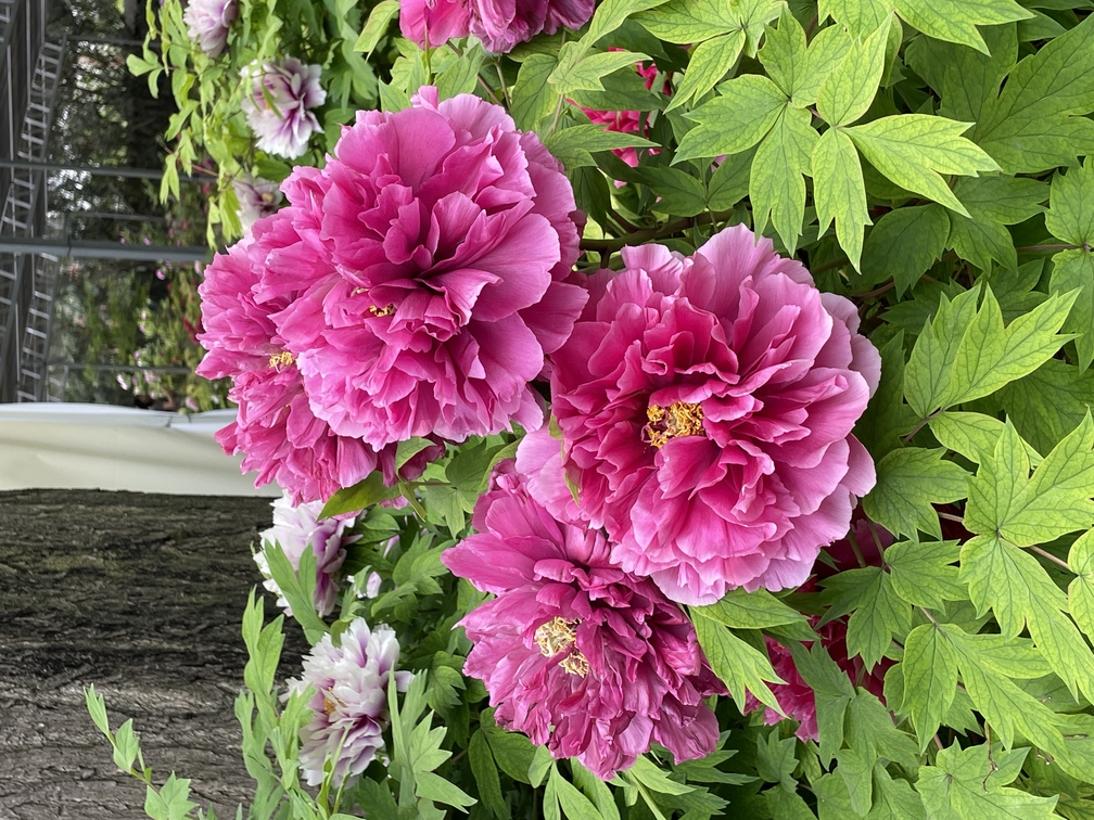 请输入图片描述