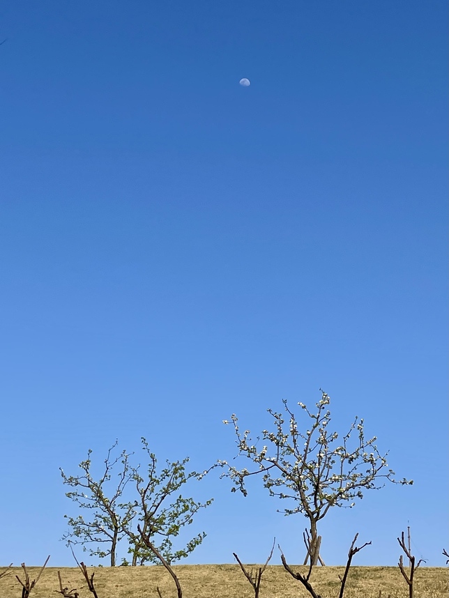 请输入图片描述