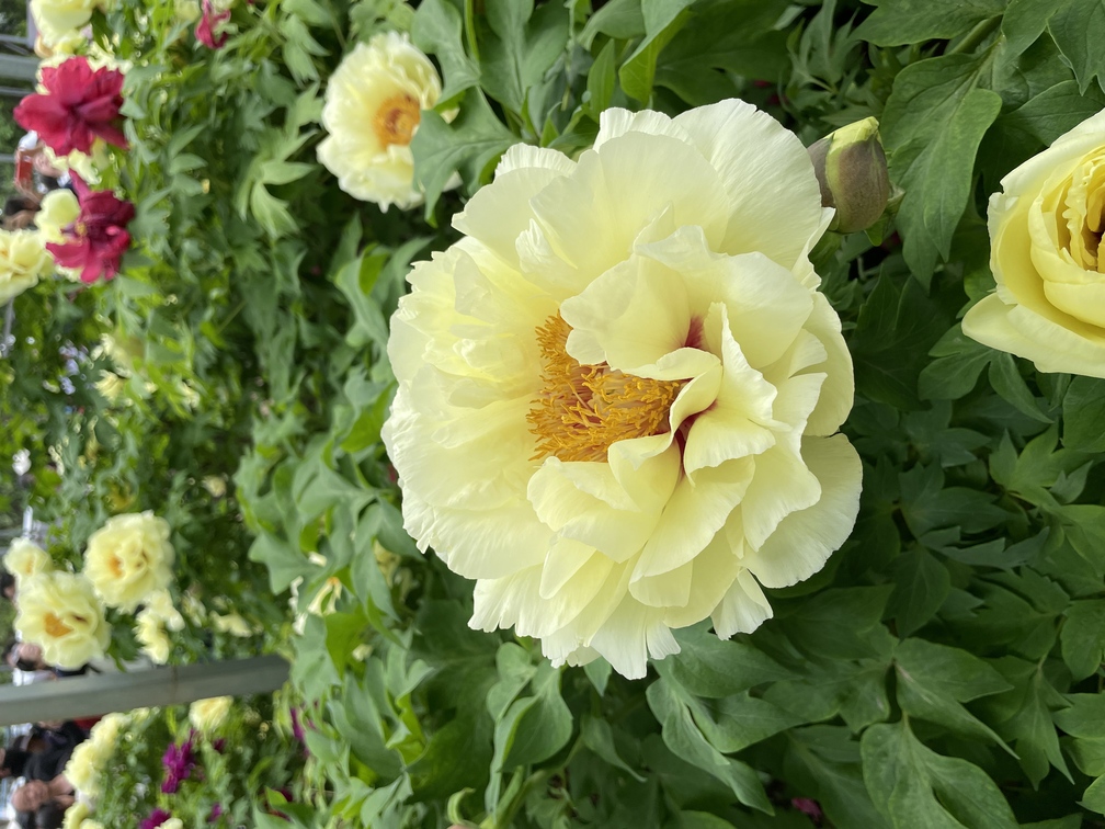 请输入图片描述