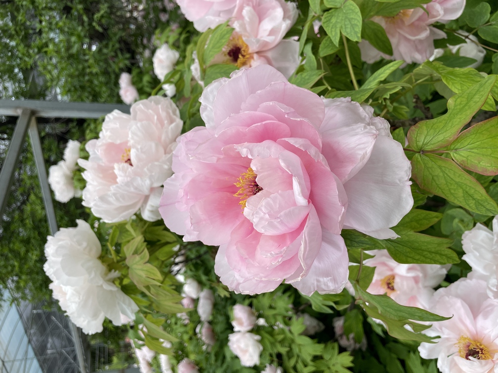 请输入图片描述