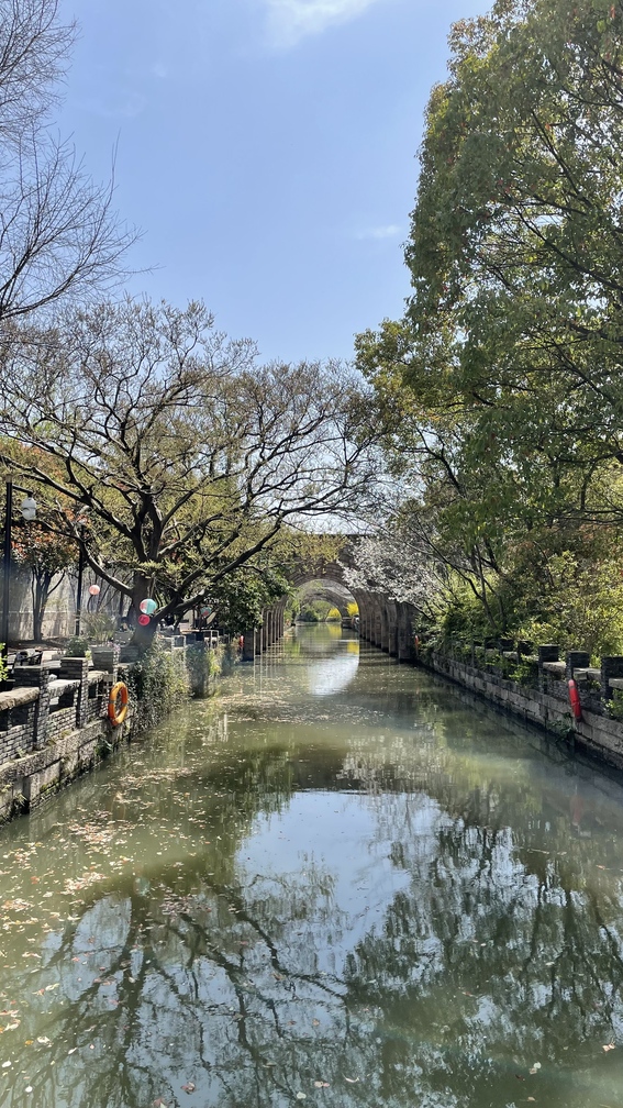 请输入图片描述