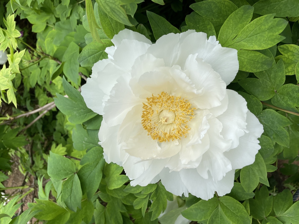 请输入图片描述